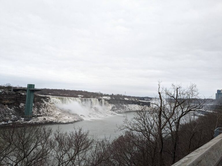 Niagara Falls Walking With Tiz